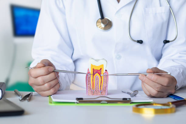 Emergency Dentist for Kids in KY